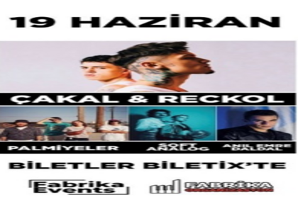 Çakal&Reckol, Anıl Emre Daldal, Palmiyeler, Soft Analog Konseri
