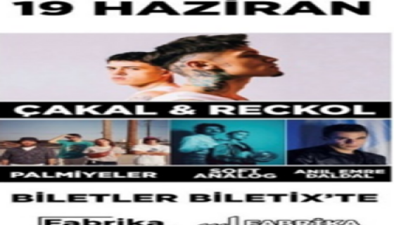 Çakal&Reckol, Anıl Emre Daldal, Palmiyeler, Soft Analog Konseri